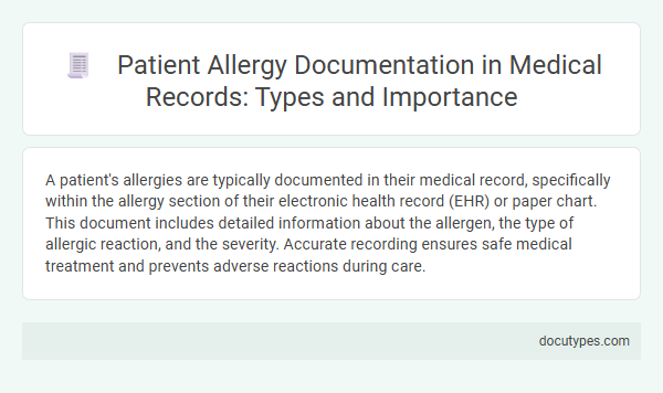 Patient Allergy Documentation in Medical Records: Types and Importance