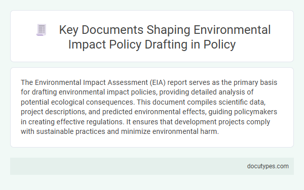 Key Documents Shaping Environmental Impact Policy Drafting in Policy