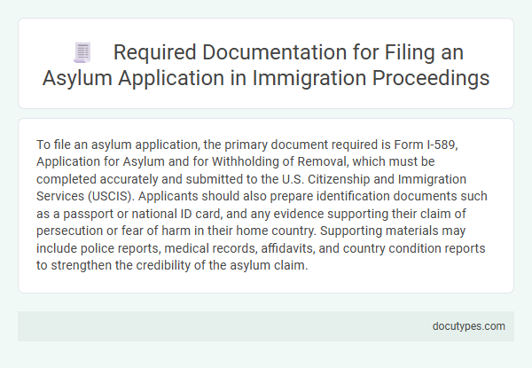 Required Documentation for Filing an Asylum Application in Immigration Proceedings