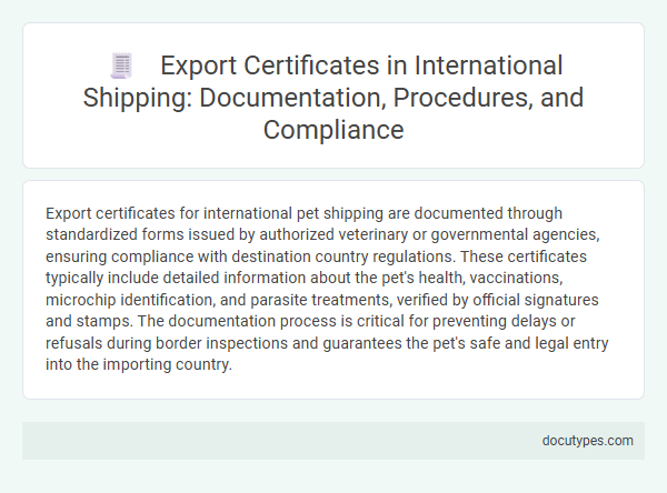 Export Certificates in International Shipping: Documentation, Procedures, and Compliance
