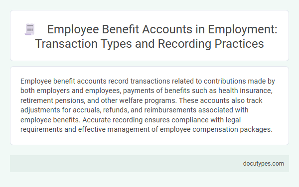 Employee Benefit Accounts in Employment: Transaction Types and Recording Practices