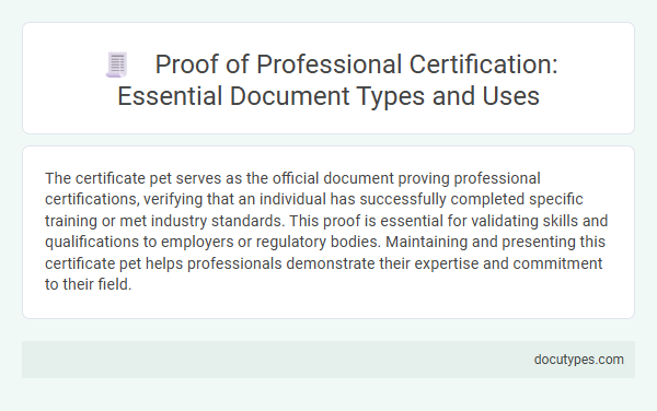 Proof of Professional Certification: Essential Document Types and Uses