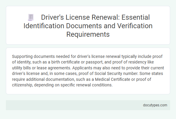 Driver's License Renewal: Essential Identification Documents and Verification Requirements
