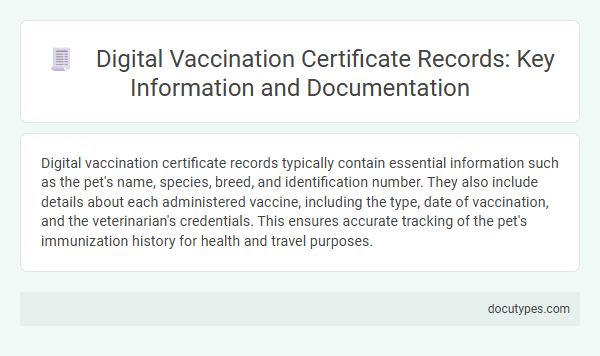 Digital Vaccination Certificate Records: Key Information and Documentation