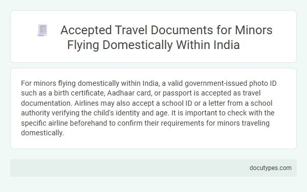 Accepted Travel Documents for Minors Flying Domestically Within India