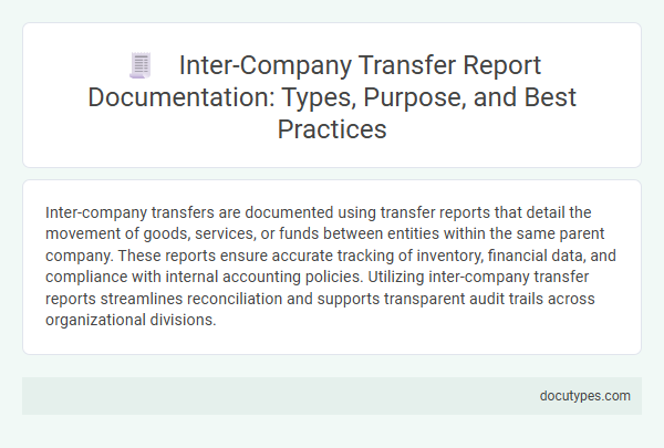 Inter-Company Transfer Report Documentation: Types, Purpose, and Best Practices