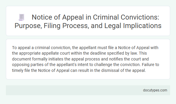 Notice of Appeal in Criminal Convictions: Purpose, Filing Process, and Legal Implications