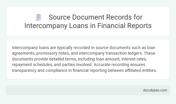 Source Document Records for Intercompany Loans in Financial Reports