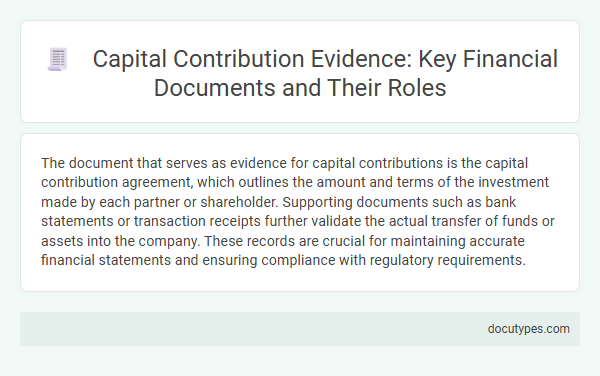 Capital Contribution Evidence: Key Financial Documents and Their Roles