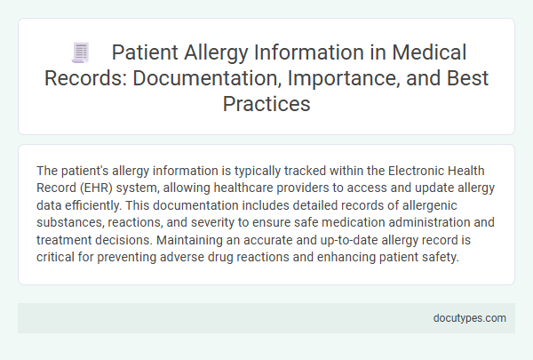 Patient Allergy Information in Medical Records: Documentation, Importance, and Best Practices