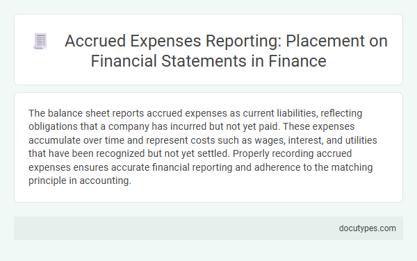 Accrued Expenses Reporting: Placement on Financial Statements in Finance