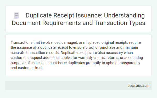 Duplicate Receipt Issuance: Understanding Document Requirements and Transaction Types